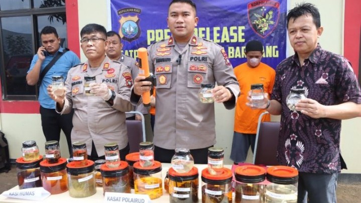 Penyelundup Ribuan Biota Laut Dilindungi Diringkus Polairud Polresta Barelang