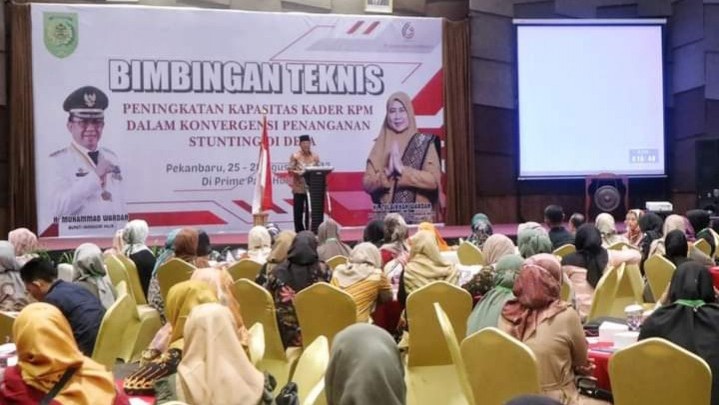 Pemkab Inhil Perkuat Kapasitas Kader Penanggulangan Stunting Pemkab Inhil Perkuat Kapasitas Kader Penanggulangan Stunting