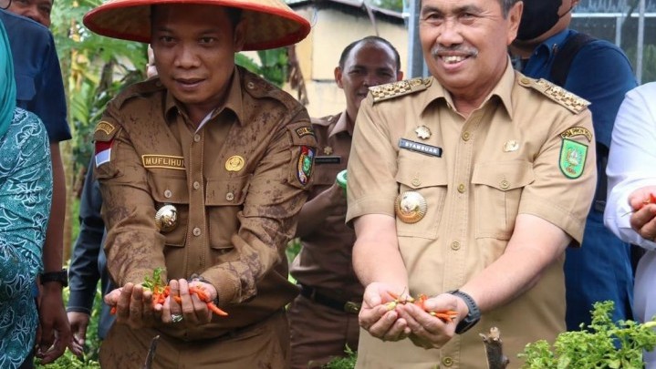 Pekanbaru akan Budidayakan Cabai di Setiap Kecamatan Pekanbaru akan Budidayakan Cabai di Setiap Kecamatan