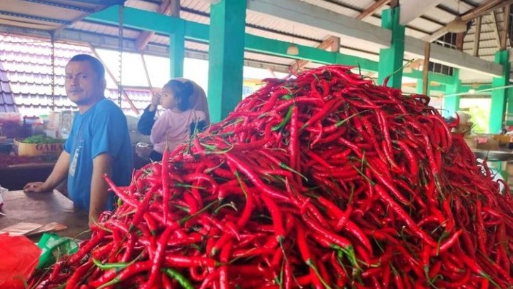 Harga Cabai di Riau Tertinggi Selama Tiga Tahun, Ini Penyebabnya Harga Cabai di Riau Tertinggi Selama Tiga Tahun, Ini Penyebabnya