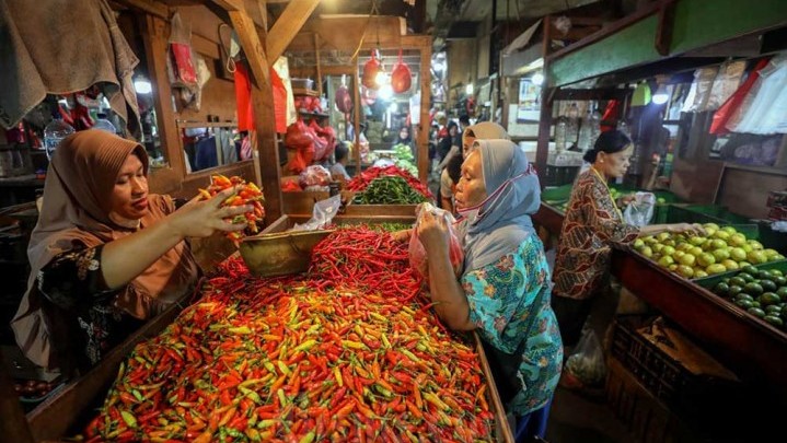 Gagal Panen di Jawa jadi Alasan Disperindag Riau Naiknya Harga Cabai Gagal Panen di Jawa jadi Alasan Disperindag Riau Naiknya Harga Cabai