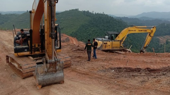 DLHK Riau Kecewa PN Pekanbaru Kabulkan Praperadilan Tersangka Perambah Hutan di Inhu