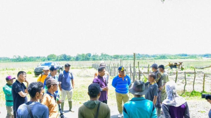 Ada yang Menakut-nakuti Peternak Kerbau, Satpol PP Disiagakan di XIII Koto Kampar Ada yang Menakut-nakuti Peternak Kerbau, Satpol PP Disiagakan di XIII Koto Kampar