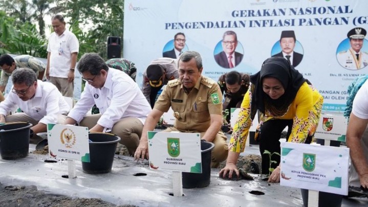 Digerakkan 200 BUMDes Maju di Riau, Program Budidaya Cabai Diluncurkan