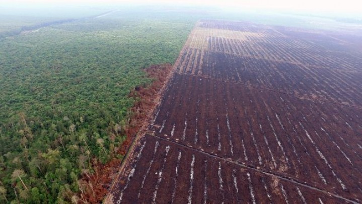 Banyak Tumpang Tindih Kawasan Hutan, Gubri Undang Menteri ATR ke Riau Banyak Tumpang Tindih Kawasan Hutan, Gubri Undang Menteri ATR ke Riau