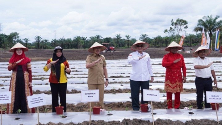 Gubri Tanam Cabai Bersama Wamentan RI di Pelalawan Gubri Tanam Cabai Bersama Wamentan RI di Pelalawan