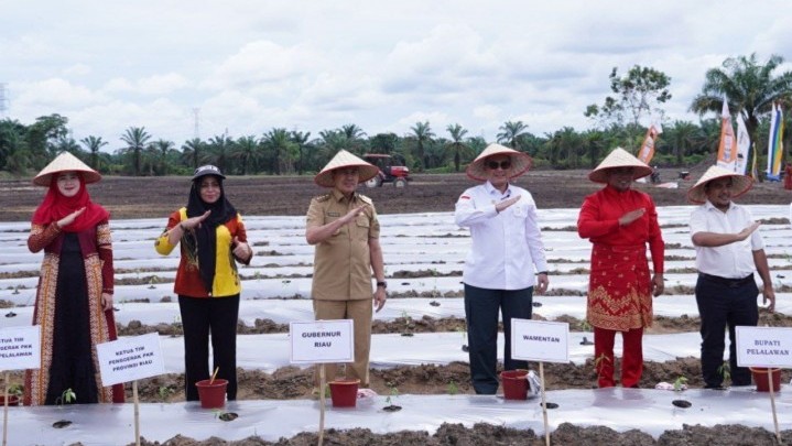 Gubri Tanam Cabai Bersama Wamentan RI di Pelalawan