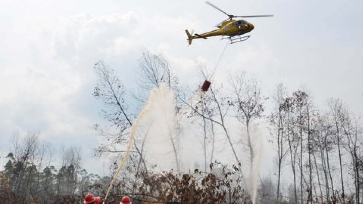 Di Riau, Sudah 1.219 Hektare Lahan Terbakar Sejak Awal Tahun