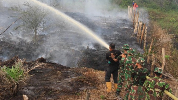 Pencehagan Karhutla di Riau Menurut BPBD Penting Melalui Edukasi