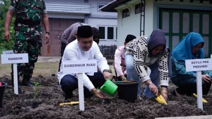 Perbanyak Bibit Cabai Jadi Tugas Penting Dinas Ketahanan Pangan Bengkalis Saat Ini Perbanyak Bibit Cabai Jadi Tugas Penting Dinas Ketahanan Pangan Bengkalis Saat Ini