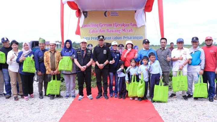 Gertam Cabai dan Bawang di Pekanbaru, Disketapang Klaim Sudah Tanam Hampir 30 Hektar