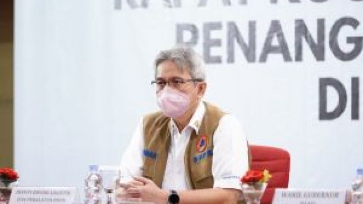 Penanganan PMK Ternak di Riau Dievaluasi BNPB