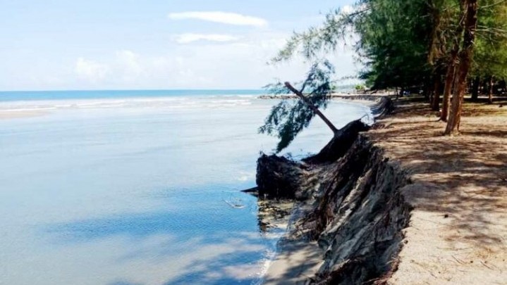 Abrasi Pantai Ancam Ribuan KK di Sasak Pasaman Barat