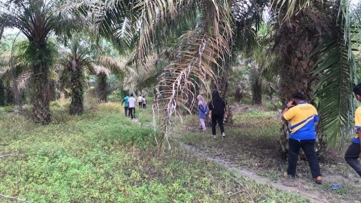 KPK Lelang Bidang Tanah Hasil Rampasan Koruptor di Riau