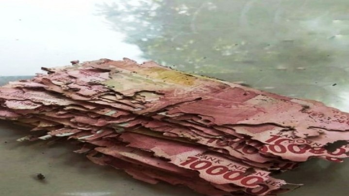 Uang ASN Madiun Dimakan Rayap hingga Rp35 Juta