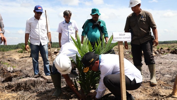 PTPN V Remajakan 13.727 Hektare Perkebunan Sawit Inti hingga 2026 PTPN V Remajakan 13.727 Hektare Perkebunan Sawit Inti hingga 2026