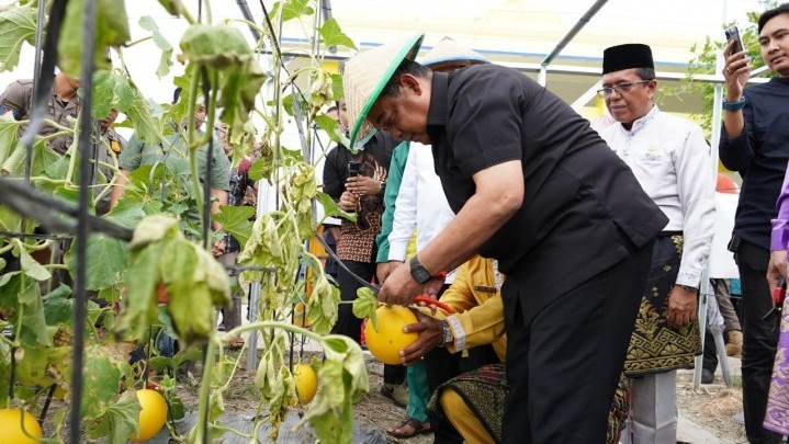Dukung Ketahanan Pangan, Wagubri Ajak Masyarakat Tanam Sayur dan Buah Dukung Ketahanan Pangan, Wagubri Ajak Masyarakat Tanam Sayur dan Buah
