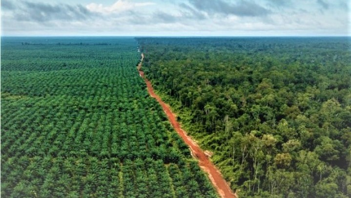 Banyak Kebun Masyarakat Batang Cenaku Inhu Masuk Kawasan Hutan, Ini Tanggapan Gubri Syamsuar