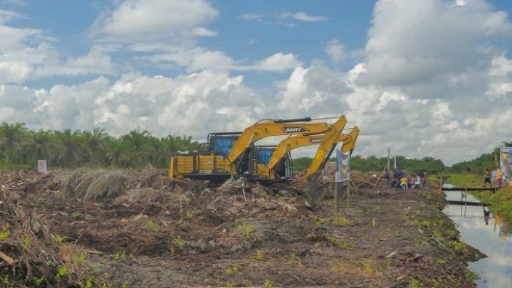 Riau hanya Dapat Rp 30 Juta dari Program Peremajaan Sawit Riau hanya Dapat Rp 30 Juta dari Program Peremajaan Sawit