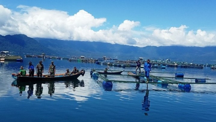 Ratusan Ton Ikan Mati di Danau Maninjau, Kerugian Sudah Capai Rp 8,44 Miliar Ratusan Ton Ikan Mati di Danau Maninjau, Kerugian Sudah Capai Rp 8,44 Miliar