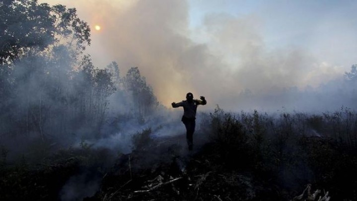 Lahan di Rohul Paling Luas Terbakar Selama Siaga Darurat Karhutla Riau