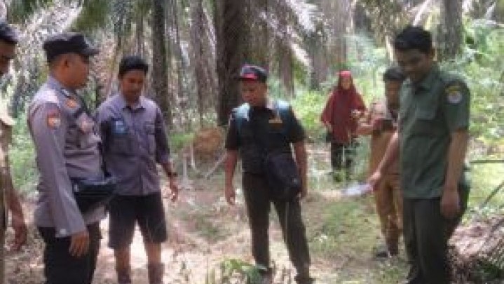 BKSDA Riau Lakukan Mitigasi Usai Dapat Laporan Hewan Ternak Diduga Dimangsa Harimau BKSDA Riau Lakukan Mitigasi Usai Dapat Laporan Hewan Ternak Diduga Dimangsa Harimau