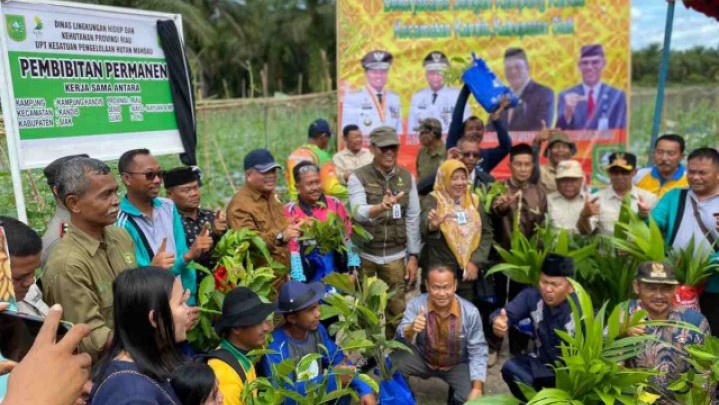 Kecamatan Kandis Kini Miliki Lokasi Pembibitan Permanen di Atas Lahan 1 Hektar