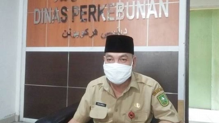 Harga Pinang Sepekan ke Depan di Riau Turun Jadi Rp8.988 Harga Pinang Sepekan ke Depan di Riau Turun Jadi Rp8.988