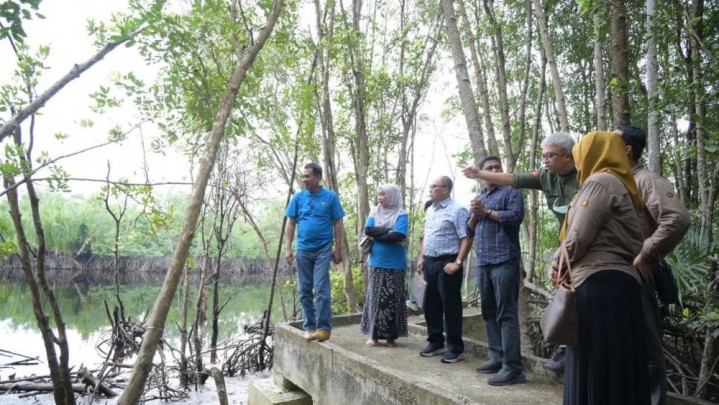 Kawasan Ekowisata Mangrove di Kampus UNRI Dumai akan Dikembangkan