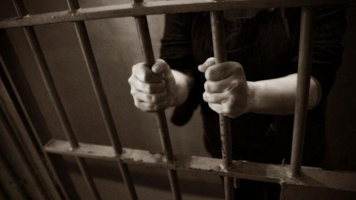Polisi Ringkus Gerombolang Pencuri Ternak di Agam Polisi Ringkus Gerombolang Pencuri Ternak di Agam