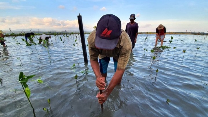 Penurunan Emisi Karbon, Pemprov Riau Gandeng Berbagai Pihak Penurunan Emisi Karbon, Pemprov Riau Gandeng Berbagai Pihak