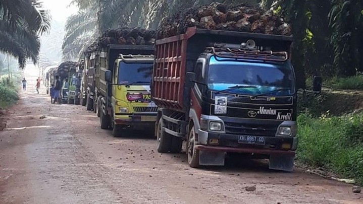 Pengusaha Mengaku Kinerja Industri Sawit 4 Tahun Terakhir Stagnan Pengusaha Mengaku Kinerja Industri Sawit 4 Tahun Terakhir Stagnan