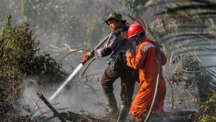 Masih Ada 159 Desa di Riau Rawan Karhutla Masih Ada 159 Desa di Riau Rawan Karhutla