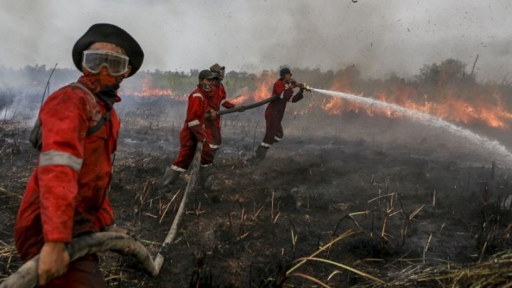 Tahun Ini di Riau Berpotensi Kembali Terjadi Karhutla