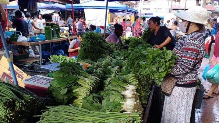 Kenaikan Harga Sayuran di Kota Batam Capai 300 Persen Kenaikan Harga Sayuran di Kota Batam Capai 300 Persen