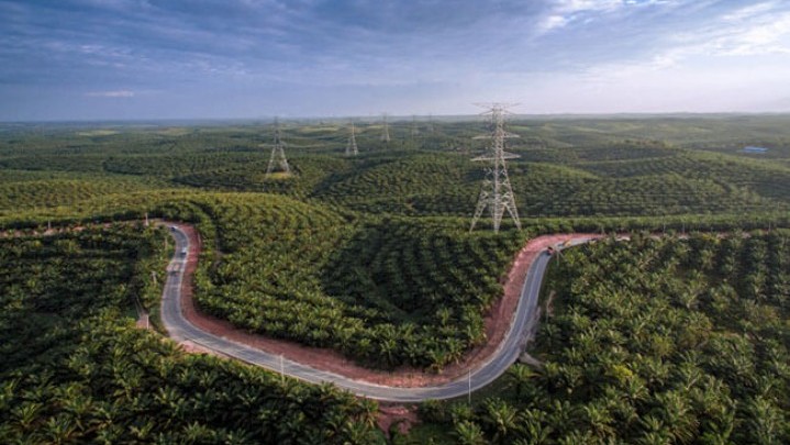HGU Lahan di Riau Diakui BPN Masih Menjadi Masalah