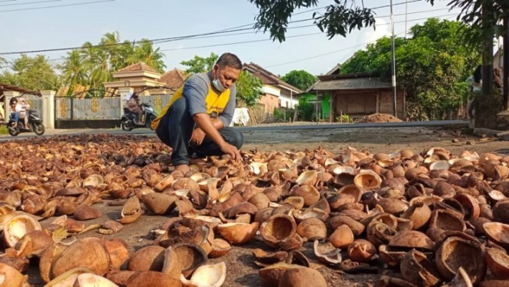 Harga Kopra di Inhil dan Meranti Naik