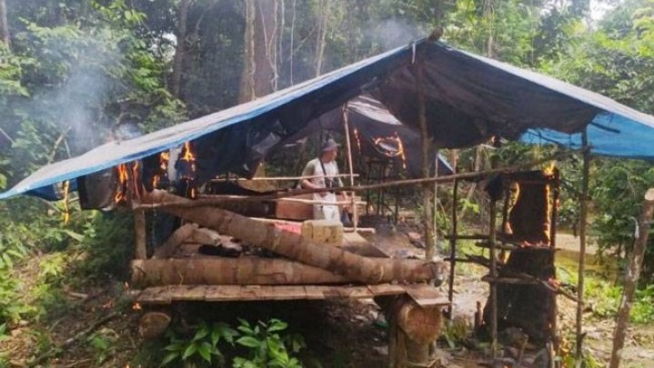 Di Suaka Margasatwa Rimbang Baling Kuansing Berdiri Pondok Liar dan Tanaman Sawit