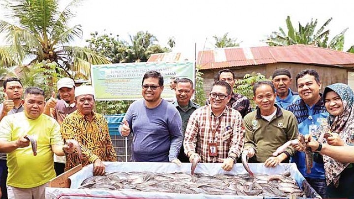 Panen Perdana Kelompok Ikan Maju Desa Giti, Upaya Nyata Kendalikan Inflasi