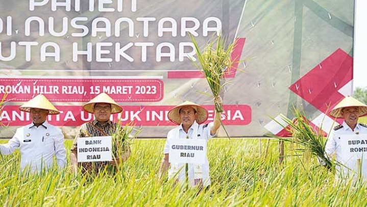 Klaster Rimba Melintang Panen Raya Padi Nusantara 1 Juta Hektare