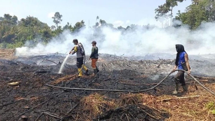Upaya Pemadaman Karhutla 25 Hektare di Bengkalis Masih Terus Dilakukan