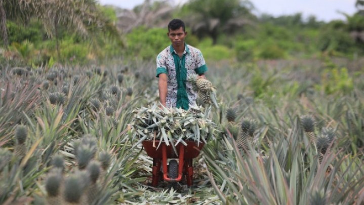 NTP Riau Maret 2023 Naik 4,35 Persen