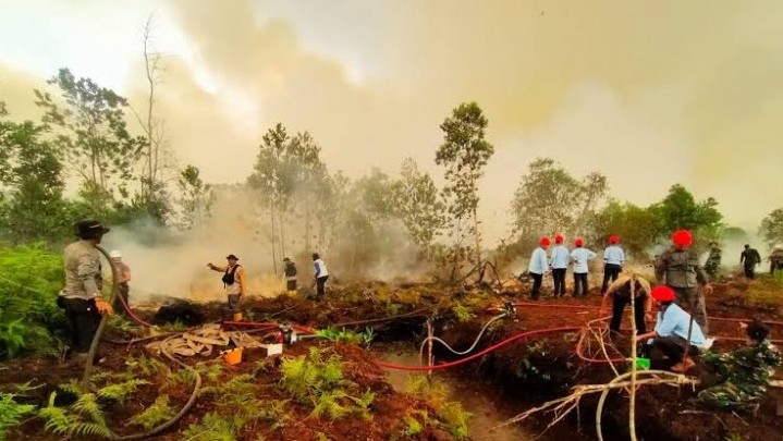 Polda Riau Mengaku Buru Pembakar Lahan Gambut di Dumai dan Bengkalis