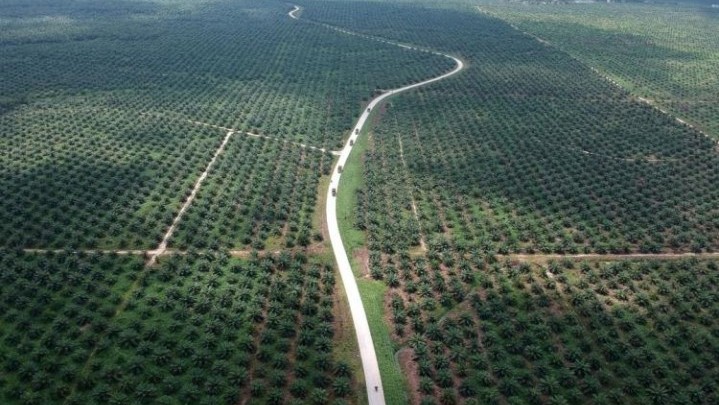 Berikut Sektor Tebesar Investasi di Riau