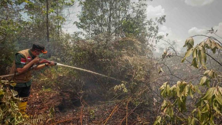 Gubri Minta Sosialisasi Cegah Karhutla Terus Dilakukan Gubri Minta Sosialisasi Cegah Karhutla Terus Dilakukan