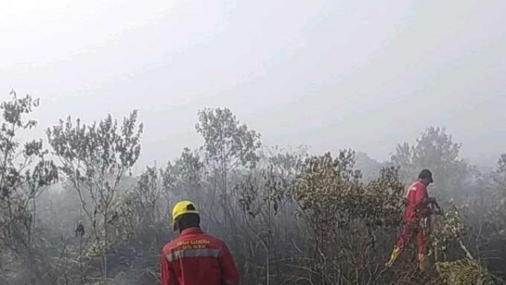 Sudah 406,38 Haktar Lahan di Riau Terbakar Sejak Awal Tahun Sudah 406,38 Haktar Lahan di Riau Terbakar Sejak Awal Tahun