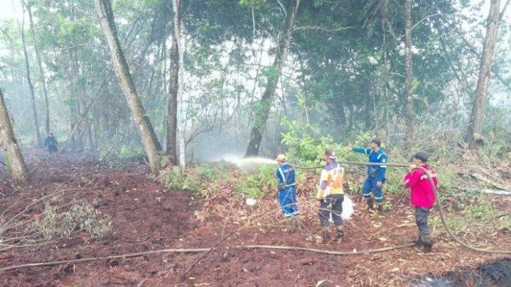 Petugas Berhasil Padamkan Karhutla di Pelintung Dumai