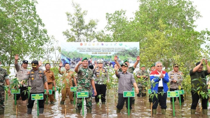 Mangrove Ditanam Atasi Abrasi di Pangkalan Jambi Bengkalis