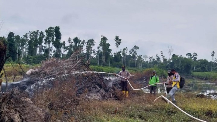 Akhirnya Polisi Tangkap Terduga Pelaku Pembakar Lahan di Rokan Hilir