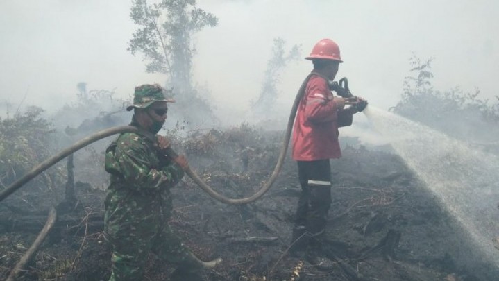 Rupat Kembali Dihantui Kebakaran Hutan dan Lahan